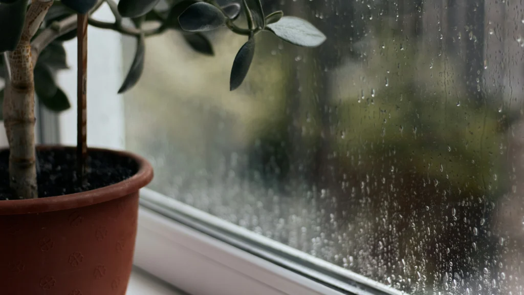 Spring Storms, Disaster Storm Repair and Cleanup, Storm Protection